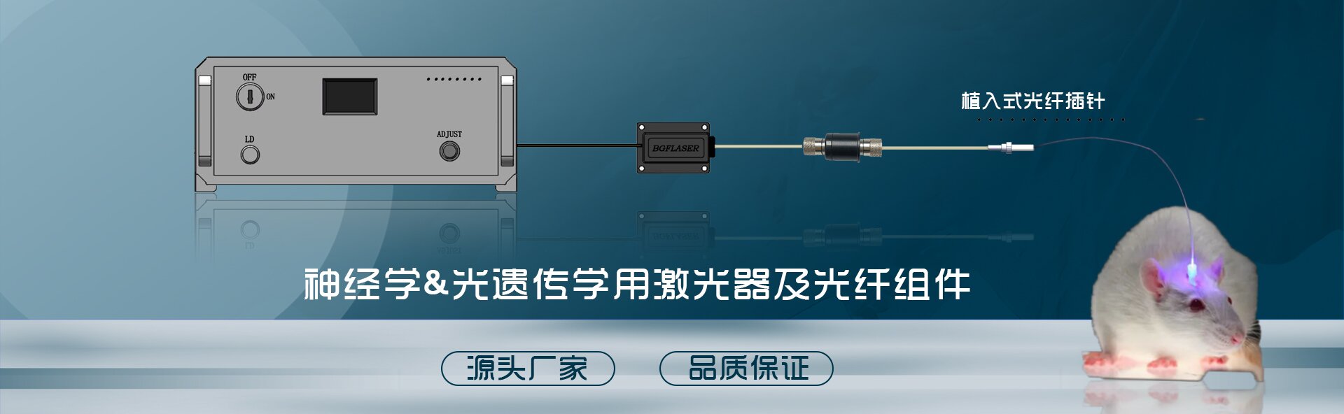 通栏图片